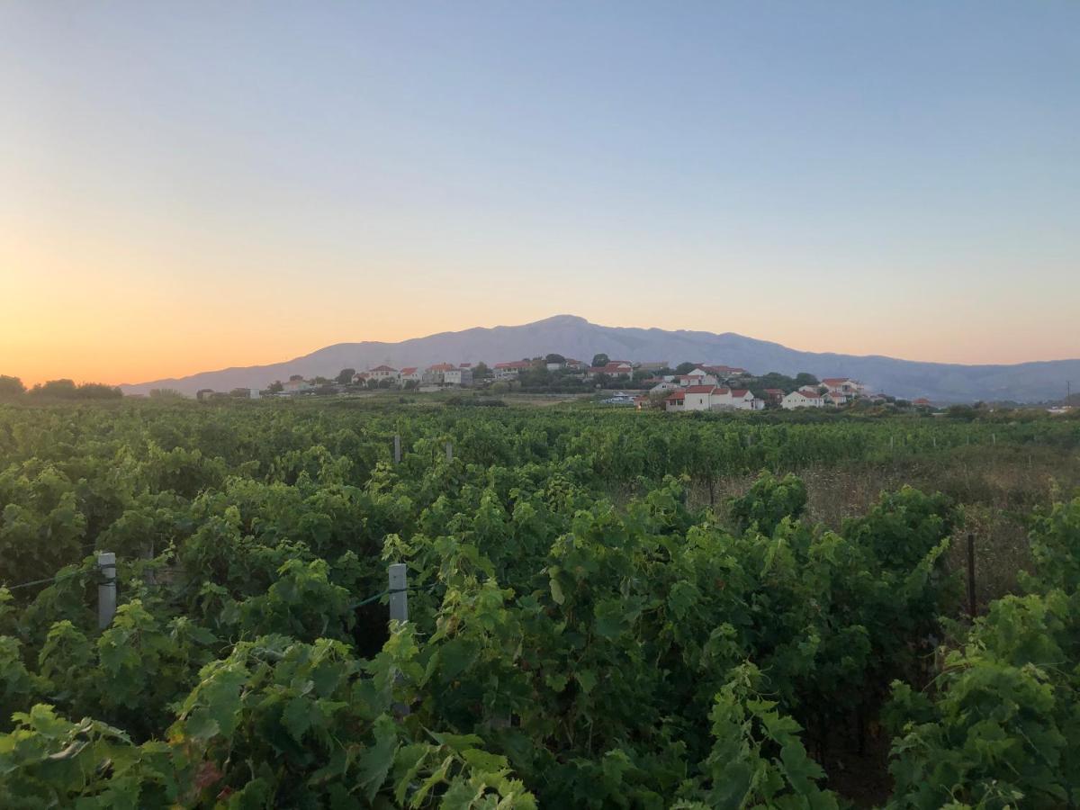 Adrian'S Apartments & Winery ลุมบาร์ดา ภายนอก รูปภาพ